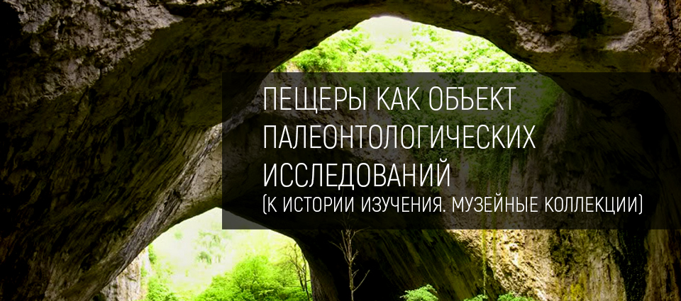 Пещеры как объект палеонтологических исследований (К истории изучения. Музейные коллекции) 