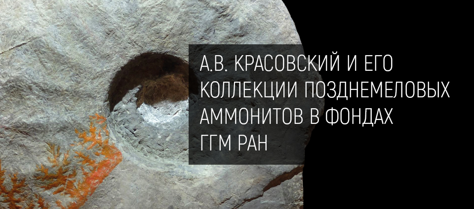 А.В. Красовский и его коллекции позднемеловых аммонитов в фондах Государственного геологического музея им. В.И. Вернадского РАН