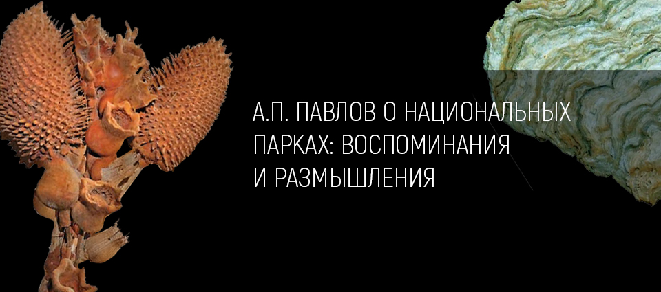 А.П. ПАВЛОВ О НАЦИОНАЛЬНЫХ ПАРКАХ: ВОСПОМИНАНИЯ И РАЗМЫШЛЕНИЯ